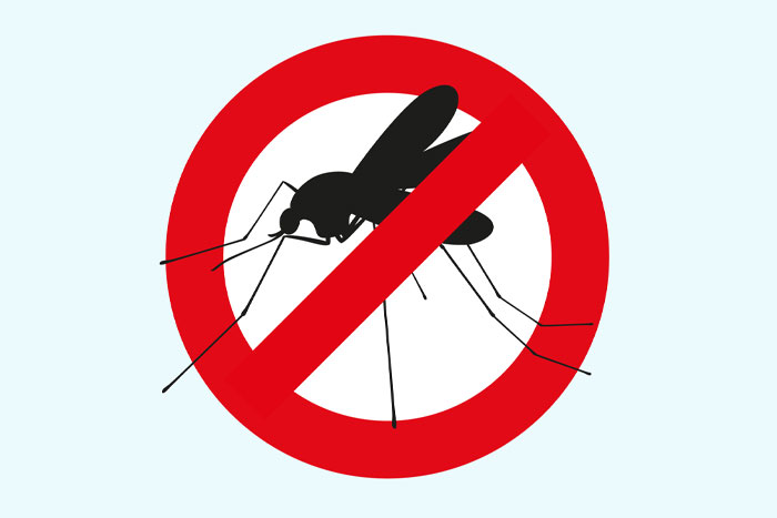 Κουνούπια και επικινδυνότητα για την υγεία μας